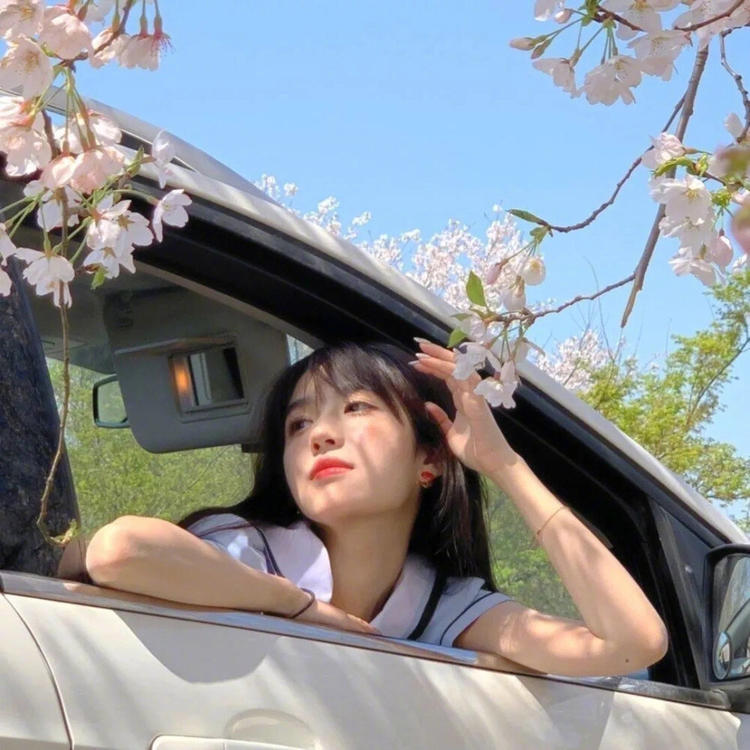 守冈博 - 少儿动画片免费在线观看 - 云端直播